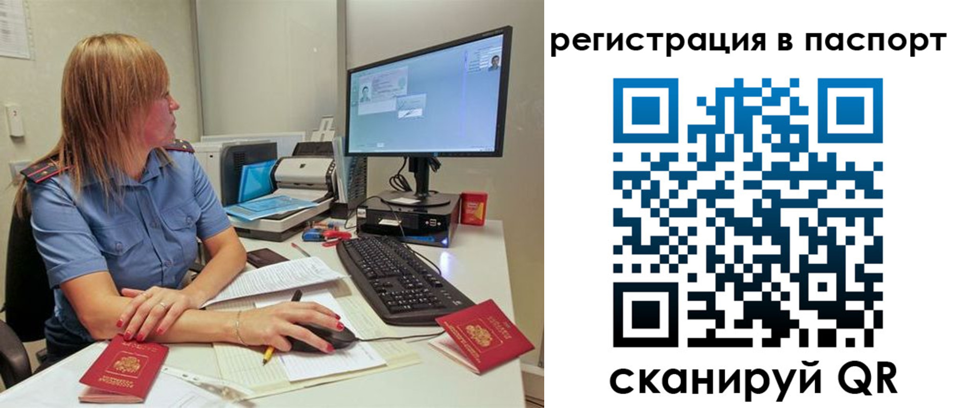 регистрация для школы в Новгородской области